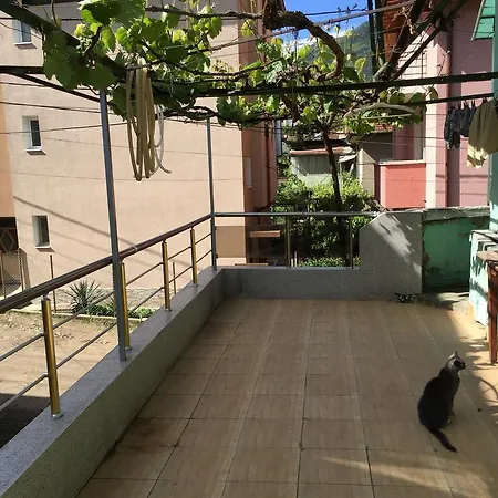 Gæstehus For Rent Vangelova *